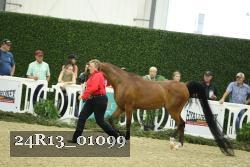 24R13_01099 thumbnail
