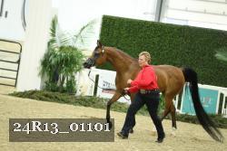 24R13_01101 thumbnail