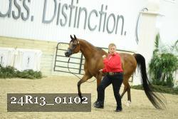 24R13_01102 thumbnail