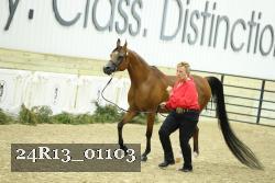 24R13_01103 thumbnail