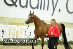 24R13_01104 thumbnail