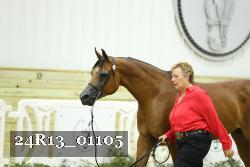 24R13_01105 thumbnail