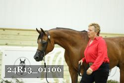 24R13_01106 thumbnail