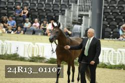24R13_01107 thumbnail