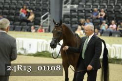 24R13_01108 thumbnail