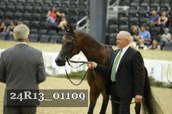 24R13_01109 thumbnail