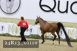 24R13_01110 thumbnail