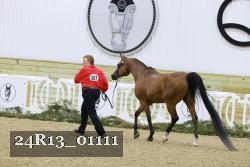 24R13_01111 thumbnail