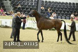 24R13_01115 thumbnail
