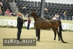 24R13_01117 thumbnail