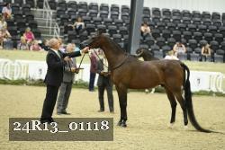 24R13_01118 thumbnail