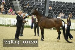 24R13_01120 thumbnail