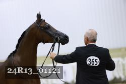 24R13_01121 thumbnail
