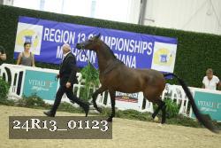 24R13_01123 thumbnail