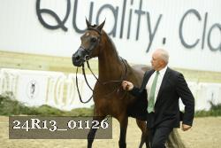 24R13_01126 thumbnail