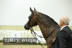 24R13_01130 thumbnail