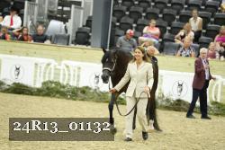 24R13_01132 thumbnail