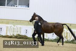 24R13_01133 thumbnail