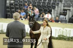 24R13_01135 thumbnail