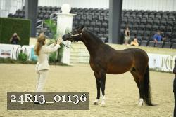 24R13_01136 thumbnail