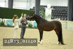 24R13_01140 thumbnail