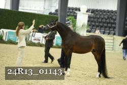 24R13_01143 thumbnail