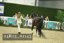 24R13_01145 thumbnail