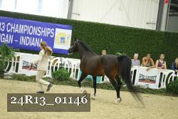 24R13_01146 thumbnail