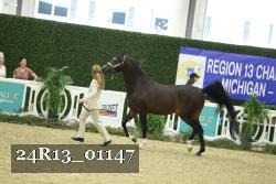 24R13_01147 thumbnail