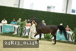 24R13_01148 thumbnail