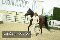 24R13_01150 thumbnail