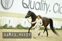 24R13_01152 thumbnail
