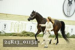 24R13_01154 thumbnail
