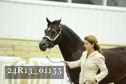 24R13_01155 thumbnail
