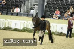 24R13_01157 thumbnail