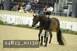 24R13_01159 thumbnail