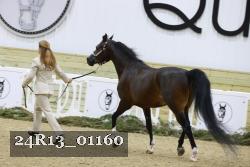 24R13_01160 thumbnail