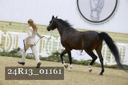 24R13_01161 thumbnail