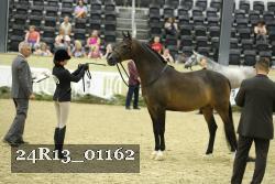 24R13_01162 thumbnail