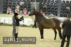 24R13_01163 thumbnail