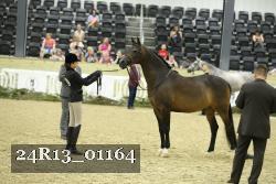 24R13_01164 thumbnail