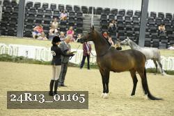 24R13_01165 thumbnail
