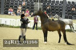 24R13_01166 thumbnail