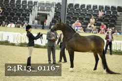 24R13_01167 thumbnail