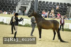 24R13_01168 thumbnail