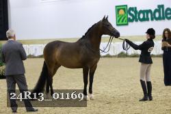 24R13_01169 thumbnail