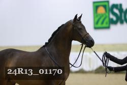24R13_01170 thumbnail