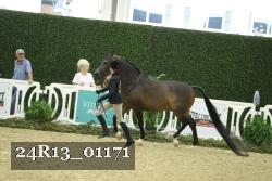 24R13_01171 thumbnail