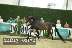 24R13_01172 thumbnail