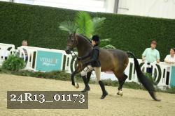 24R13_01173 thumbnail